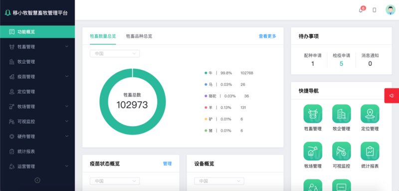 站群程序演进：当规模化站点矩阵开始具备语义自组织能力