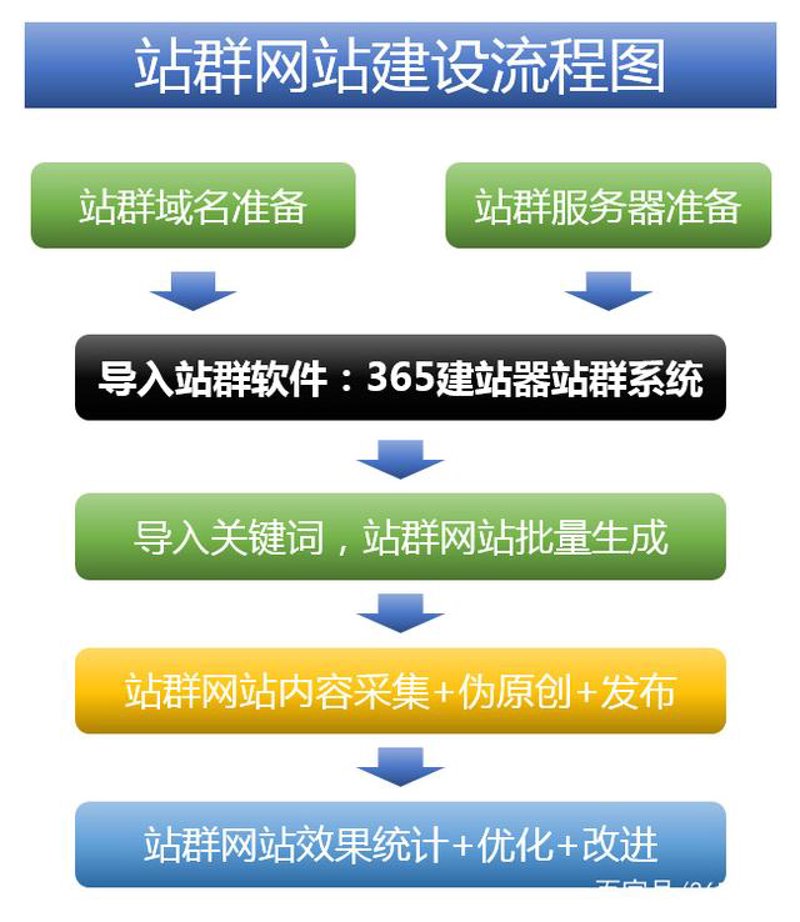 互联网时代的站群软件：构建高效运营的新引擎